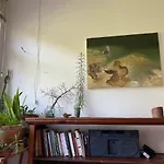 Vista Pro Verde